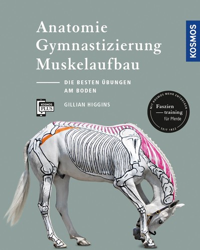 Anatomie gymnastizierung - anatomie,,