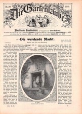 Im Fenster - Adriaen van Ostade - 1914 - Historisches Titelblatt ~21x30cm