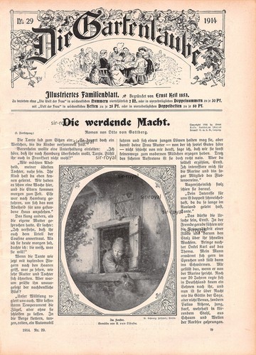 Fenster adriaen van - im,