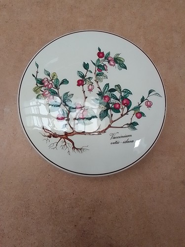 Villeroy boch botanica - villeroy,