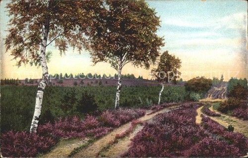 Borg walsrode birkenweg - walsrode,