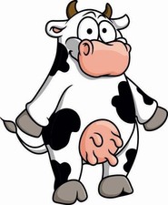 Aufkleber lustige Kuh