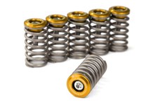 Ducati Trockenkupplung