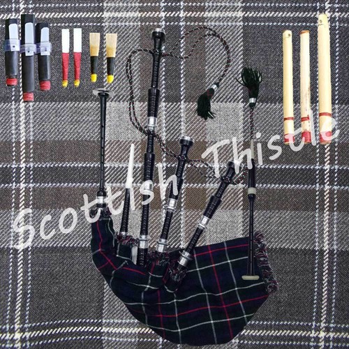 Scottish great highland - scottish,