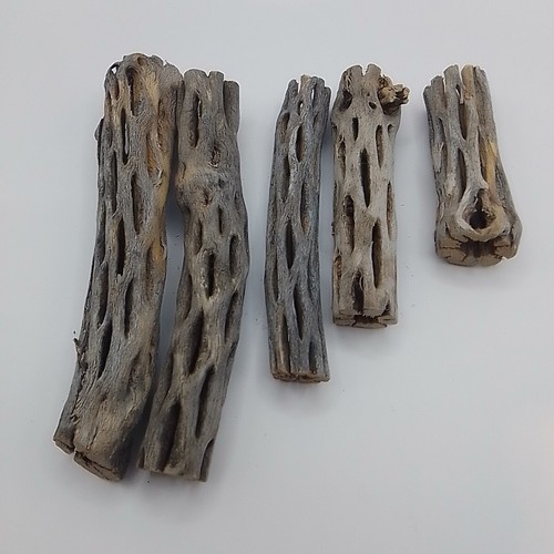 Doublenice cholla box - cholla,