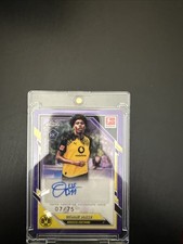 Topps chrome bundesliga 2026 - chrome,