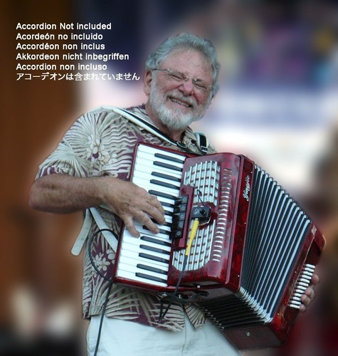 Weltmeister accordion pickup - accordion,