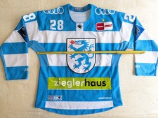 ERC Ingolstadt Official Game