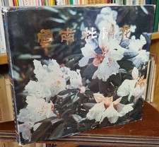 Buch, Azaleen aus Yunnan