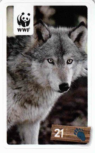 Rewe wwf tier abenteuer - rewe,