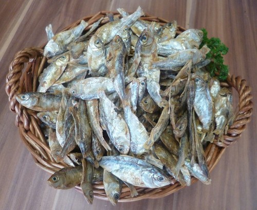 500 trockenfisch klein für - 500, g