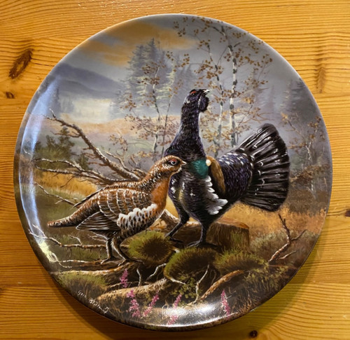 Wandteller wildvögel - wildvögel, in