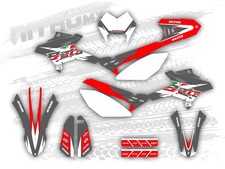 Graphics Fits Beta RR 50 2011