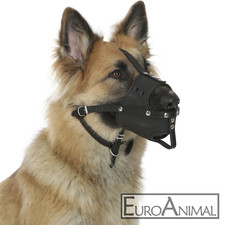 Hunde Maulkorb Leder robustes