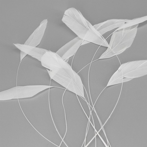 Teardrop coq federn bis 25 - teardrop,