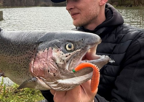 Trout master leech - trout,