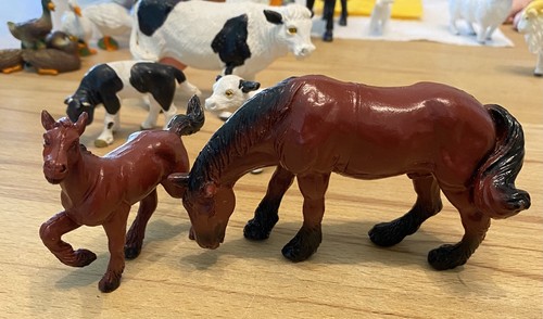 Pferd fohlen hartung berlin - pferd,