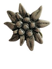 Edelweiss anstecker pin - pin, 5