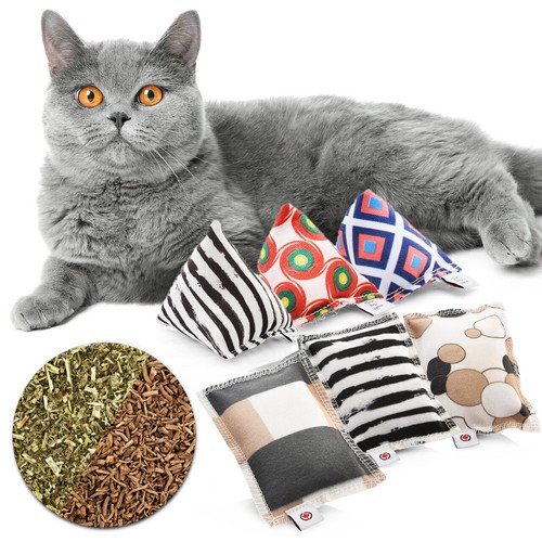 Katzen spielkissen - katzen,