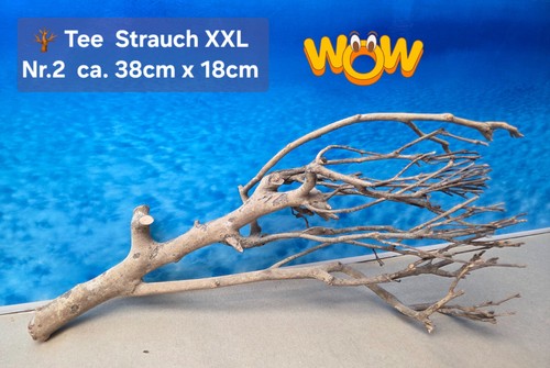 Xxl tee strauch aquarium - xxl,