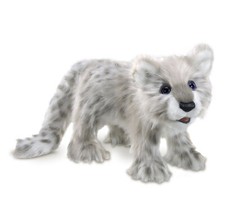 Baby Schneeleopard / Snow