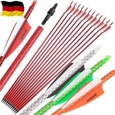 12X 30 Zoll Carbon Pfeile