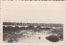 Foto, viele tote Pferde in Rostow am Don Russland 1941 (MJ-16)