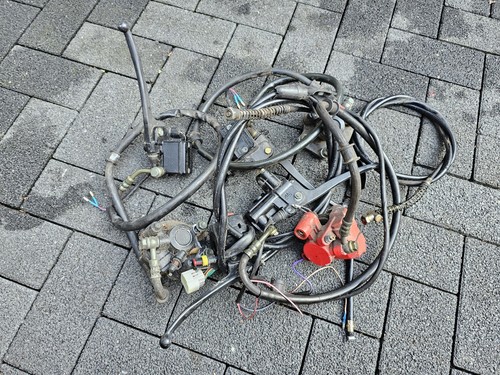 Roller bremsen vorne - roller,