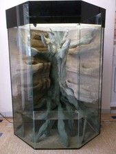 5 eck Delta Glas Terrarium