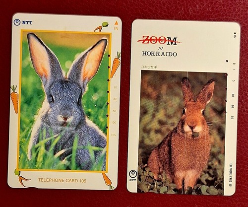 Japan hasen kaninchen - japan___hasen,