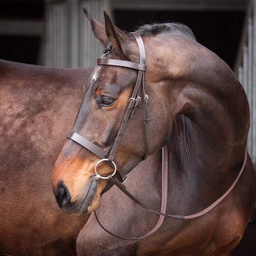 Shires velociti gara - gara, uni