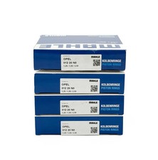 4 x MAHLE Racing Kolbenringe