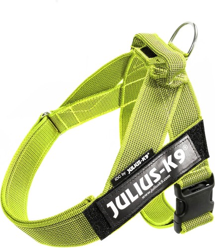 Julius idc color - julius-k9,,
