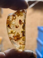 Bernstein Inkluse  zwischen