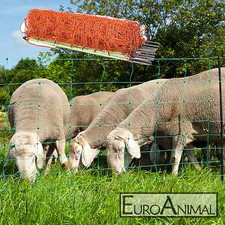 50m Schafnetz Weidenetz Schafzaun Elektrozaun Schafe Pferch Agility Hundezaun