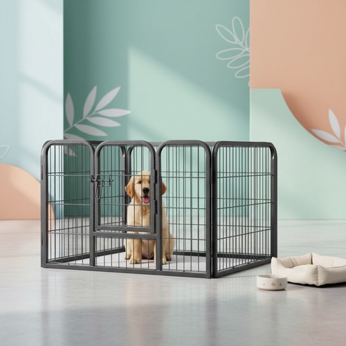 Welpenauslauf hunde freigehege - hunde,
