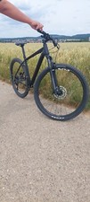 Rose fahrrad - rose,