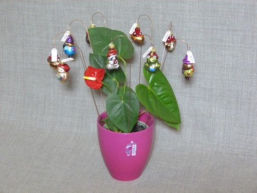 Blumenstecker für vase glas - für,