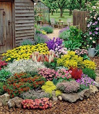 Großer Staudengarten