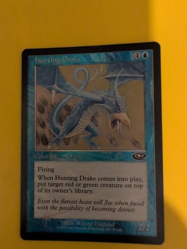 Jagddrachen mtg karte - mtg,