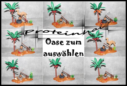 Playmobil oase wüstenbrunnen - playmobil,