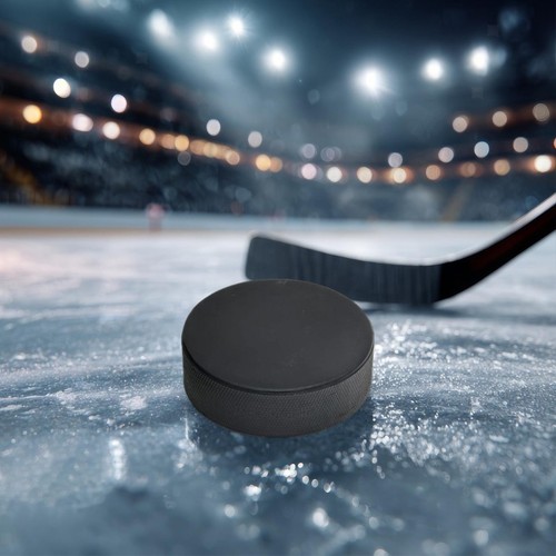 Eishockey-Puck