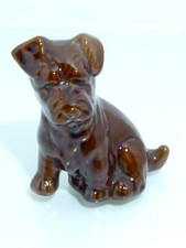 Hund-Junger Hund-Welpe sitzend