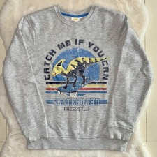 Kinder Sweatshirt Dinosaurier Pullover Pulli Gr. 134/140 Kinderkleidung Jungen