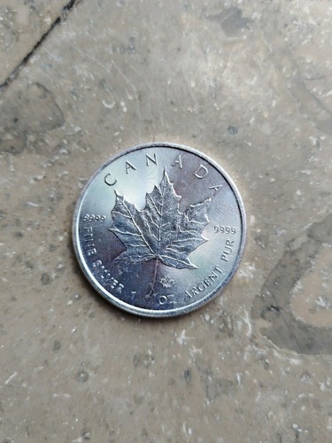 Silber maple leaf - 1,
