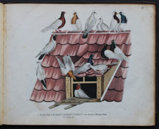 NEUMEISTER,DAS GANZE DER