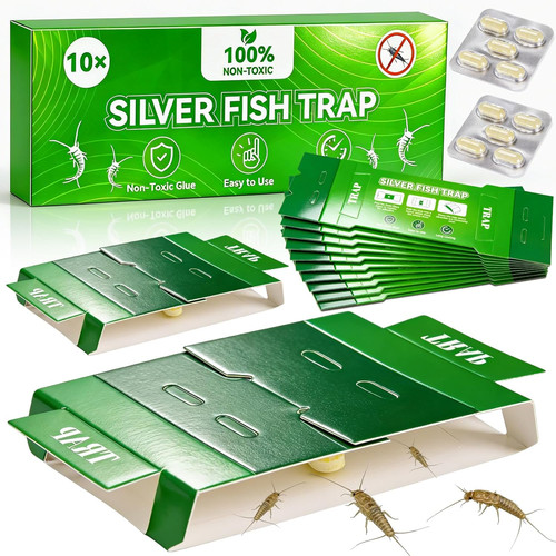 Silberfische bekämpfen - silberfische,