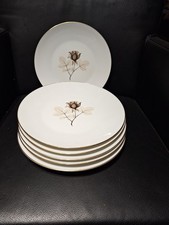 Rosenthal Schattenrose 6x