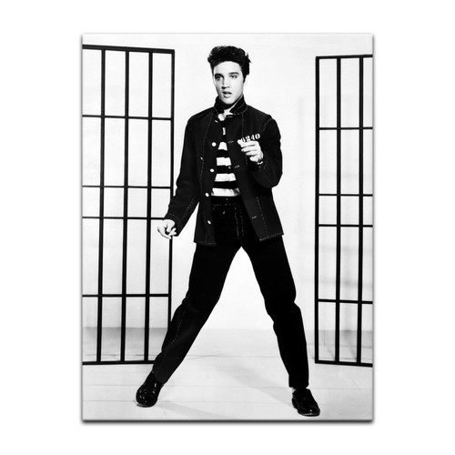 Kunstdruck poster elvis - poster,