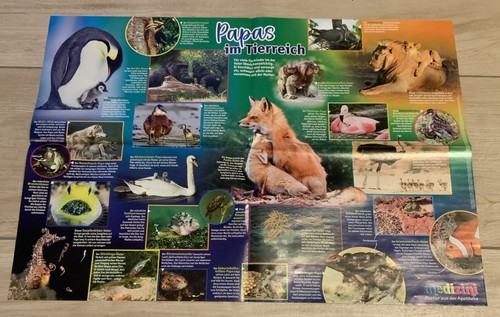 Poster von medizini papas - poster, im